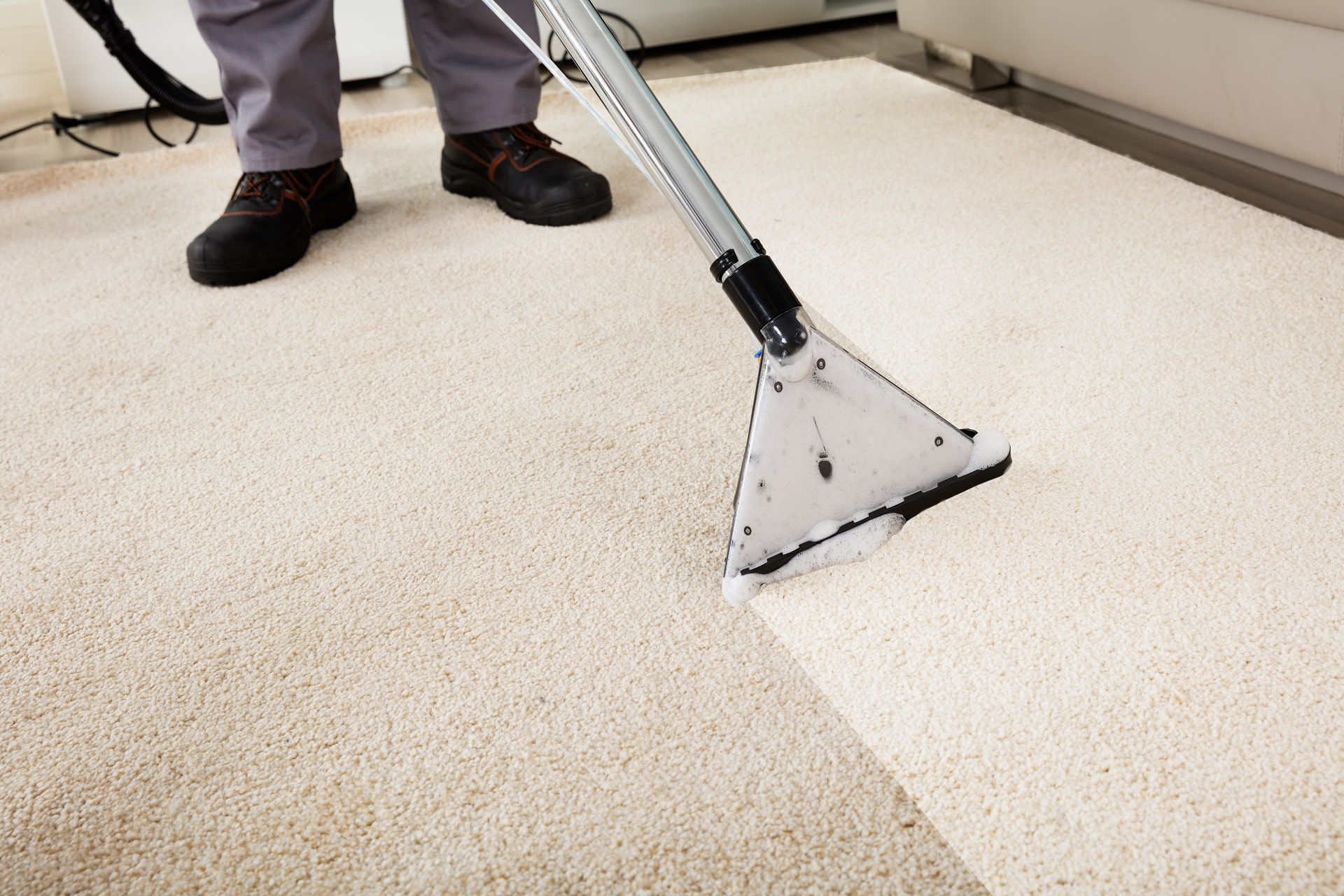 Carpet Cleaning Quality