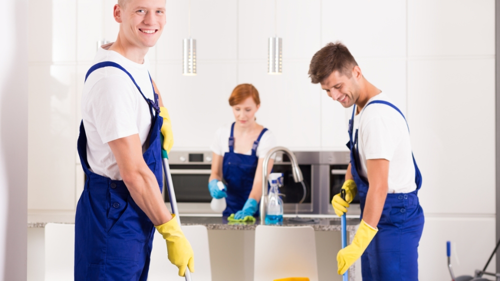 Professional Cleaners