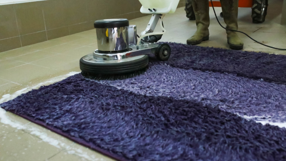 Carpet Maintenance