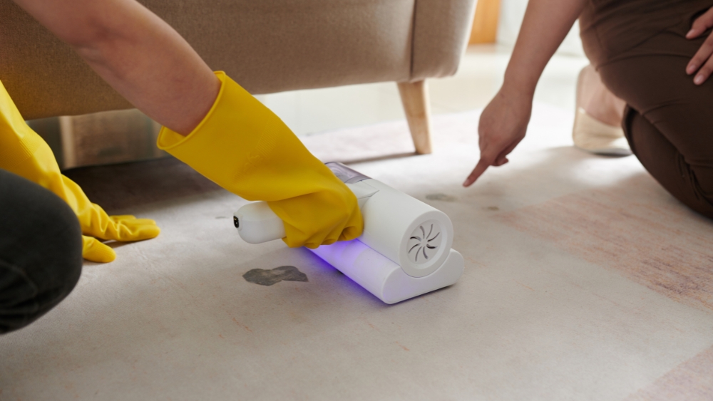 Refresh Your Carpets