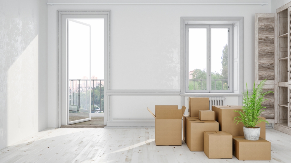 Move In Cleaning Tips