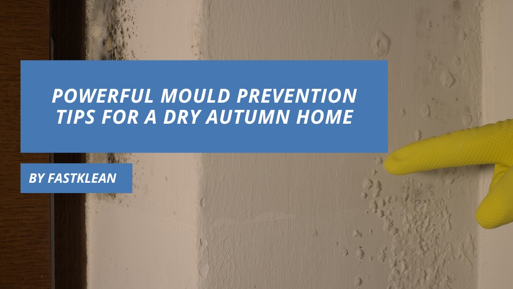 Powerful Mould Prevention Tips For A Dry Autumn Home