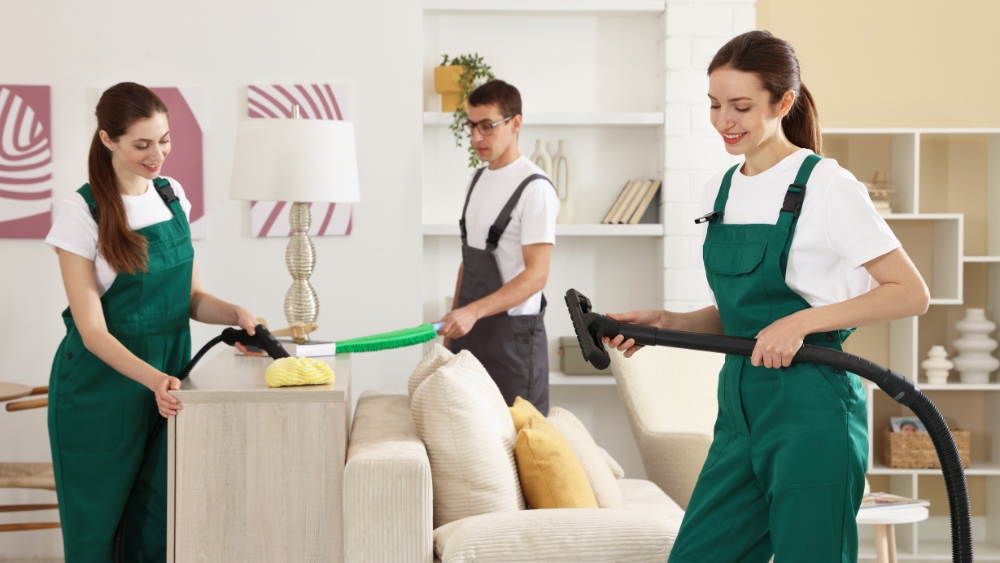 The Professional Cleans