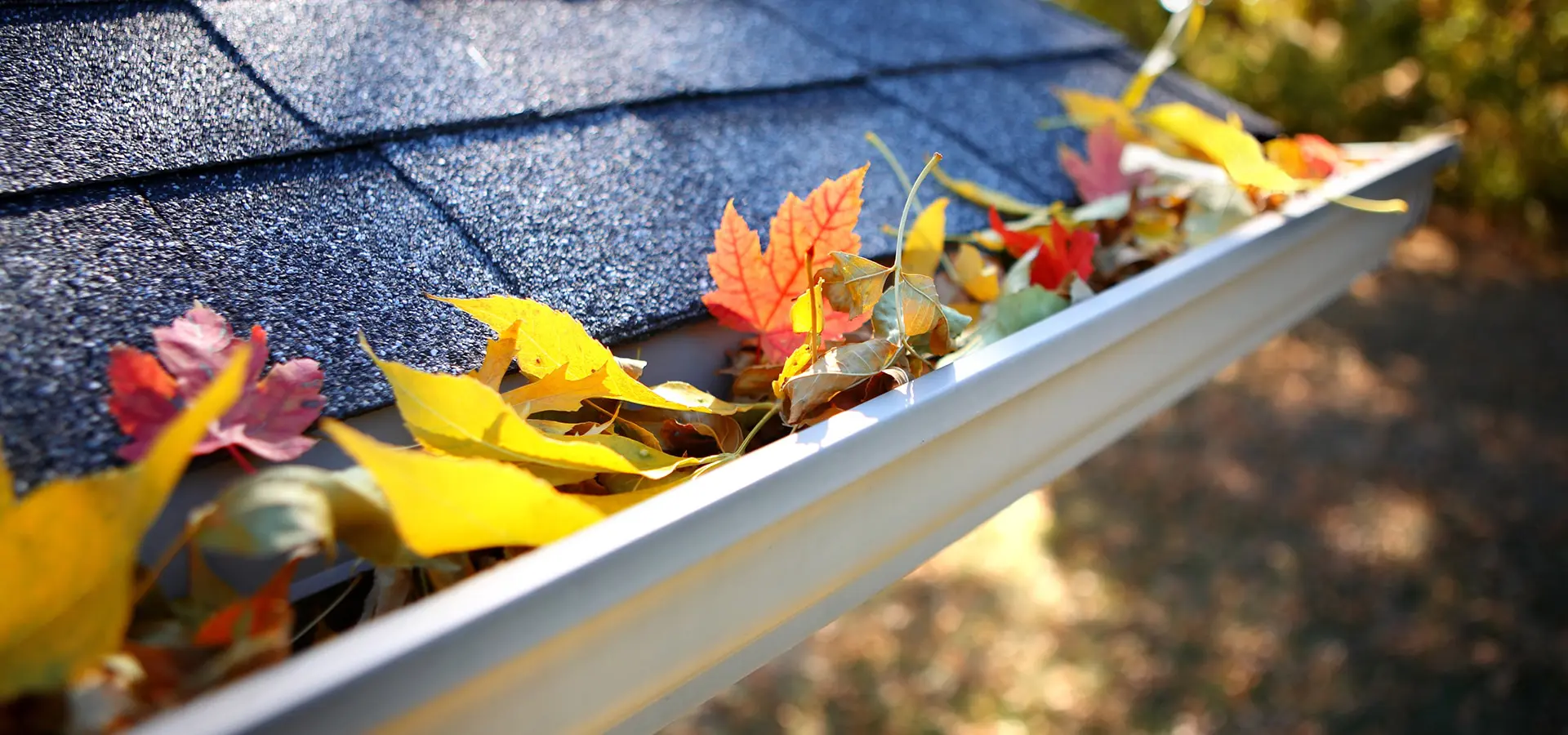 Gutter Cleaning