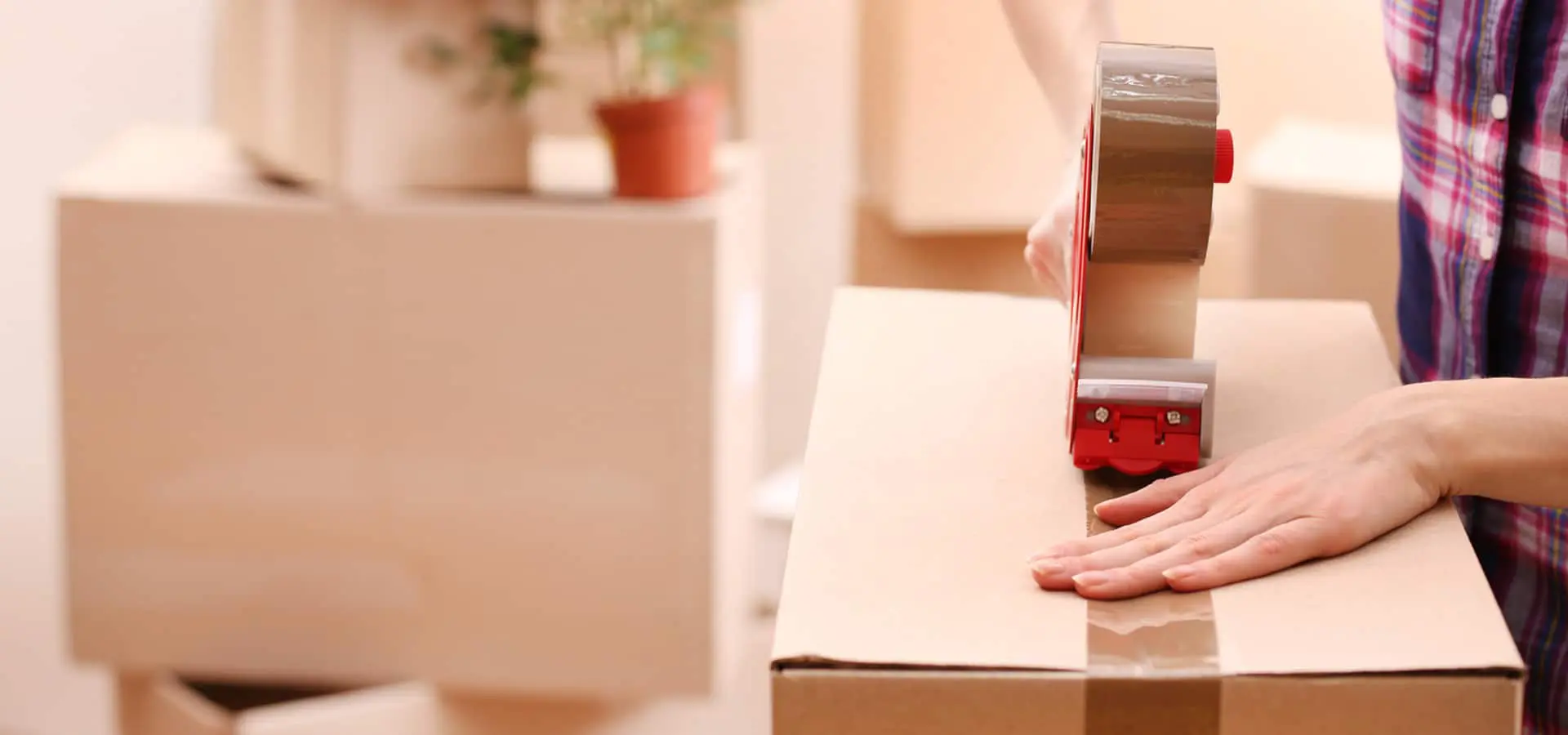 Removal Services